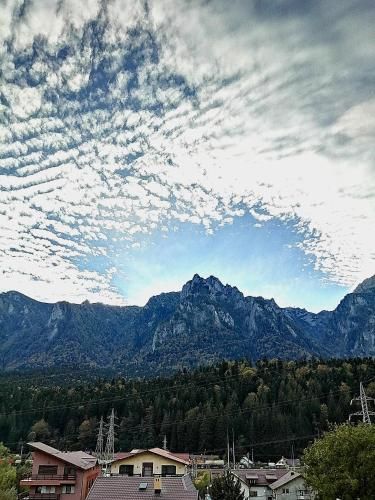 Outdoor Pictures 24