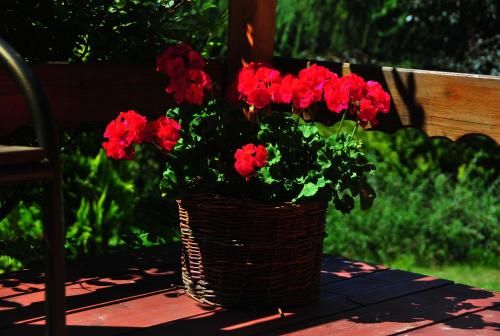 Outdoor Pictures 7