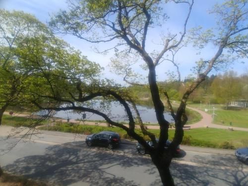 Outdoor Pictures 18