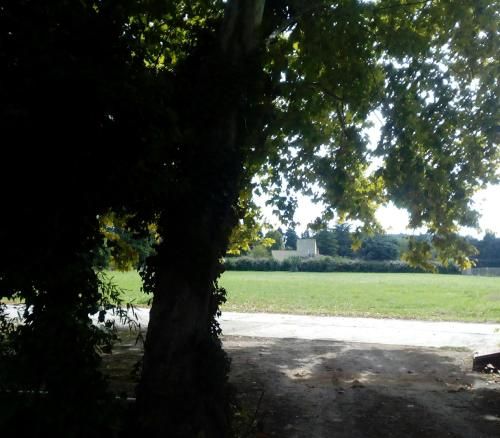 Outdoor Pictures 4