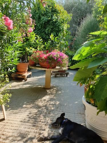 El Giardino delle Rose.....