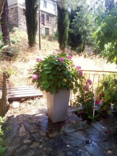 Outdoor Pictures 18