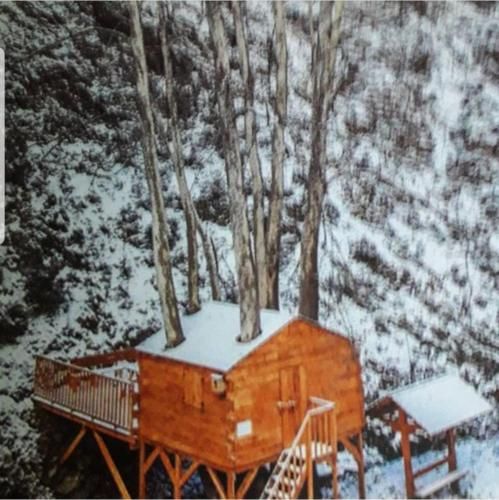 Outdoor Pictures 7