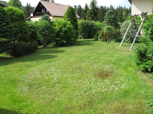 Outdoor Pictures 9
