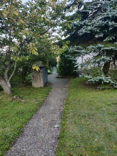 Outdoor Pictures 10