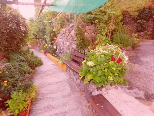 Outdoor Pictures 12