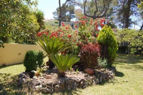 Outdoor Pictures 15