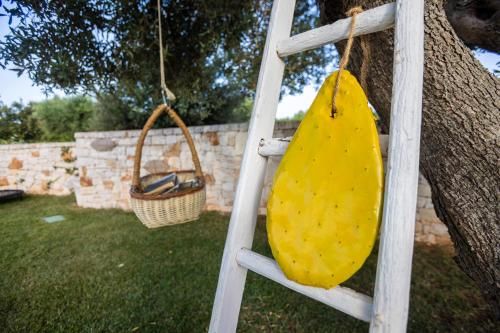 Outdoor Pictures 24