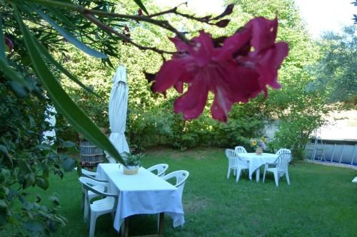 Outdoor Pictures 15