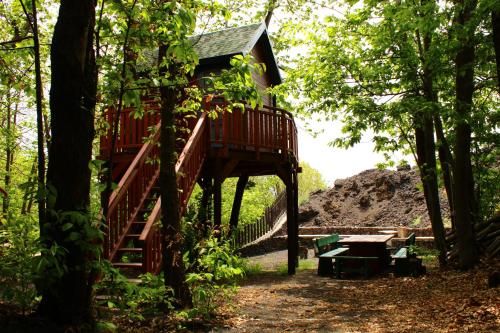 Outdoor Pictures 2