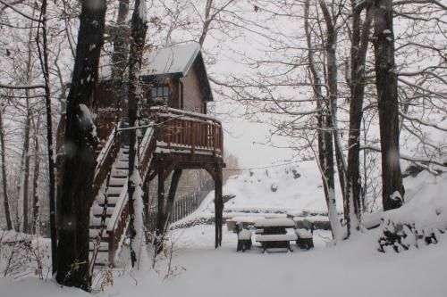 Outdoor Pictures 7