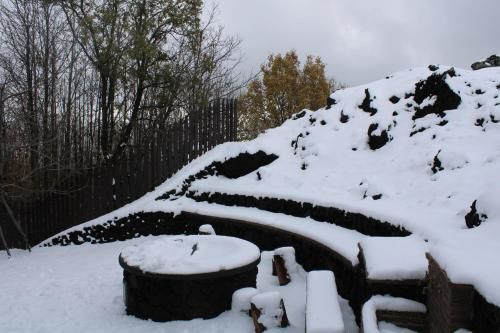 Outdoor Pictures 11