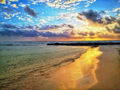 Bahia Principe & Golf Residences (Terrazas Condo)