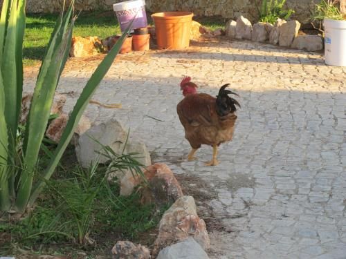 Outdoor Pictures 23