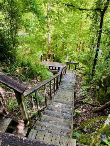 Outdoor Pictures 7
