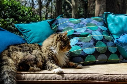 Outdoor Pictures 20