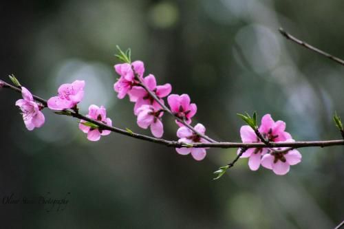 Outdoor Pictures 22