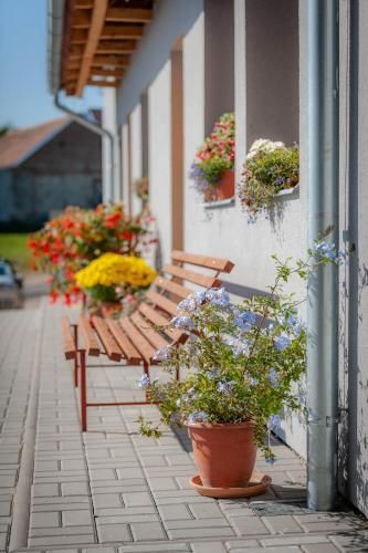 Outdoor Pictures 10