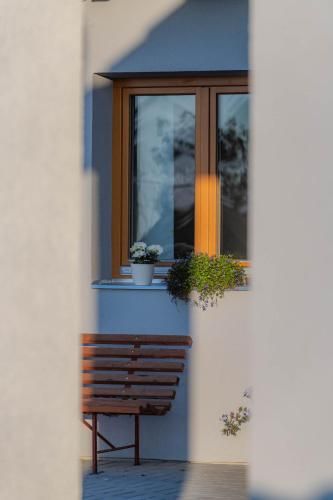 Outdoor Pictures 24