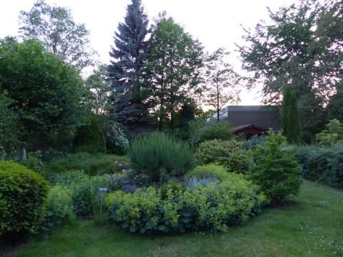 Outdoor Pictures 7