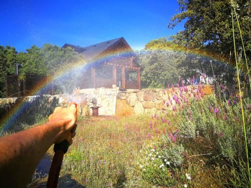 Outdoor Pictures 20