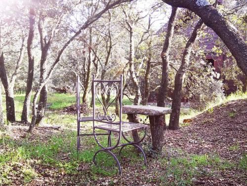 Outdoor Pictures 5