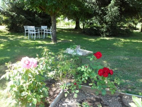 Outdoor Pictures 8