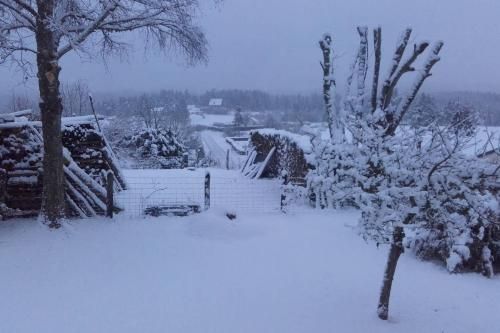 Outdoor Pictures 11
