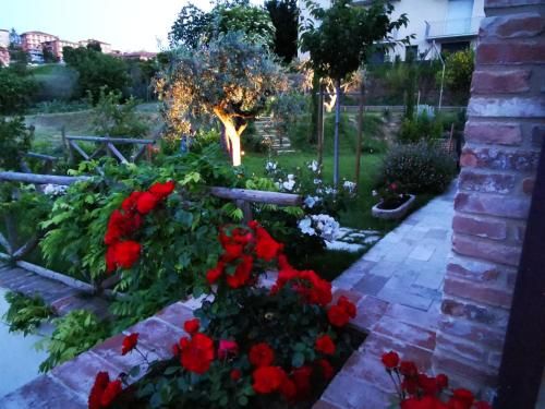 Outdoor Pictures 5