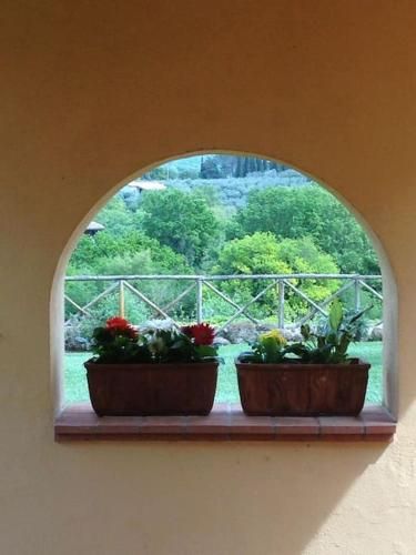 Outdoor Pictures 10