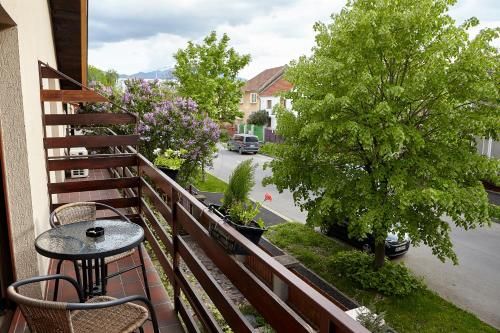 Outdoor Pictures 21