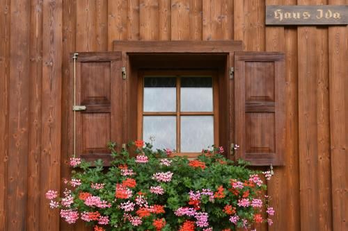Outdoor Pictures 15
