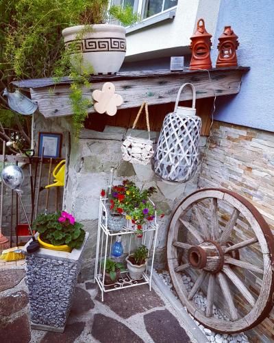 Outdoor Pictures 6