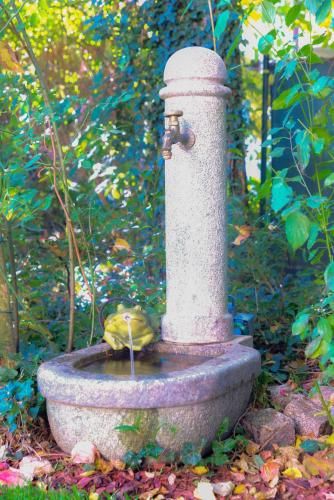 Outdoor Pictures 9