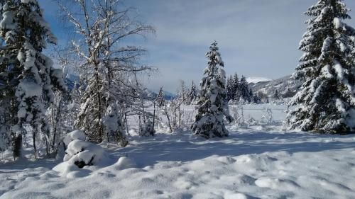 Outdoor Pictures 22