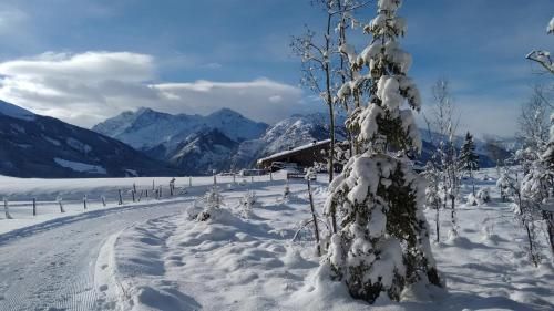 Outdoor Pictures 24