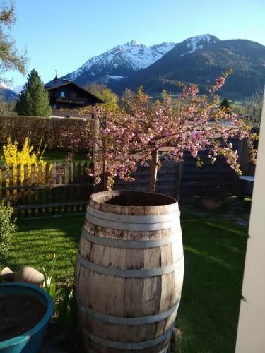 Outdoor Pictures 9