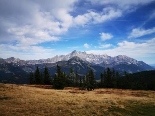 Outdoor Pictures 15