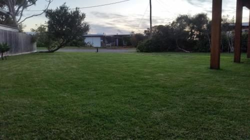 Outdoor Pictures 14