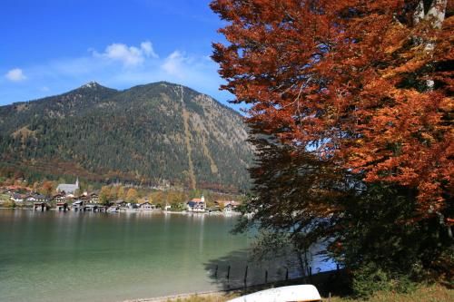 Outdoor Pictures 21