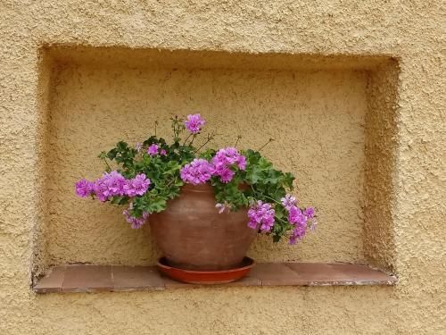 Outdoor Pictures 4
