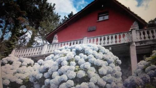 Outdoor Pictures 1