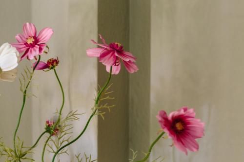 Outdoor Pictures 7