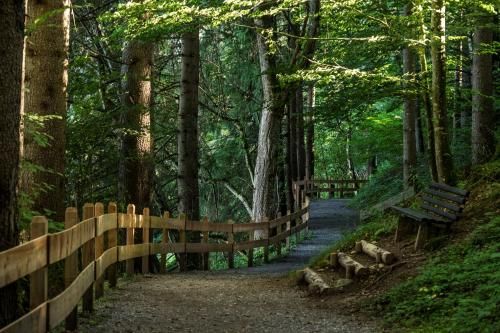 Outdoor Pictures 15