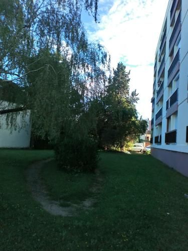 Outdoor Pictures 1