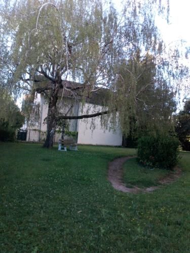 Outdoor Pictures 6