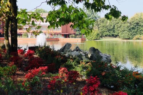 Outdoor Pictures 23