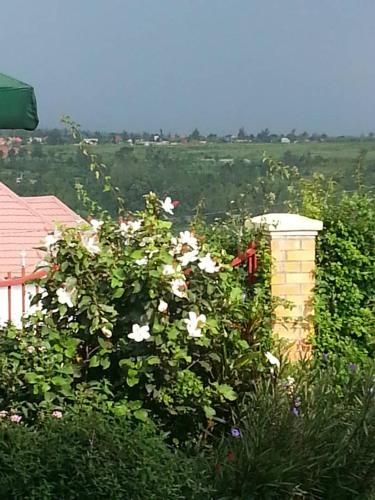 Outdoor Pictures 22