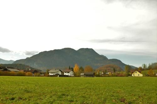 Outdoor Pictures 9