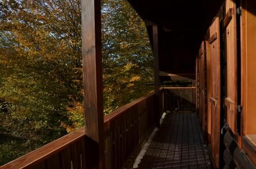 Outdoor Pictures 12